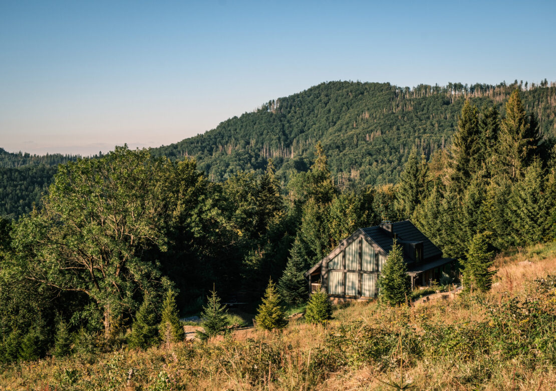 Pytlorka