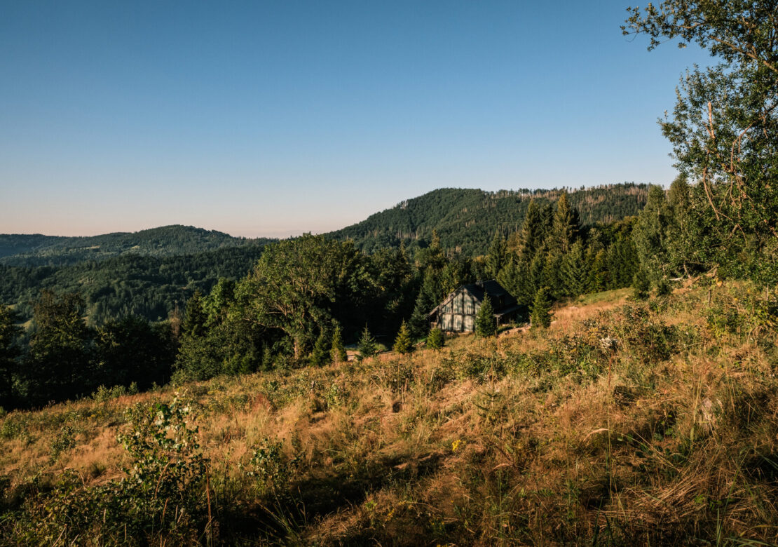 Pytlorka
