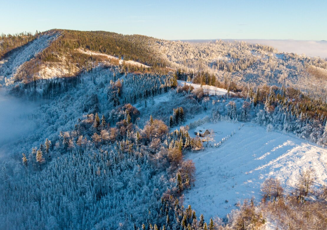 Pytlorka