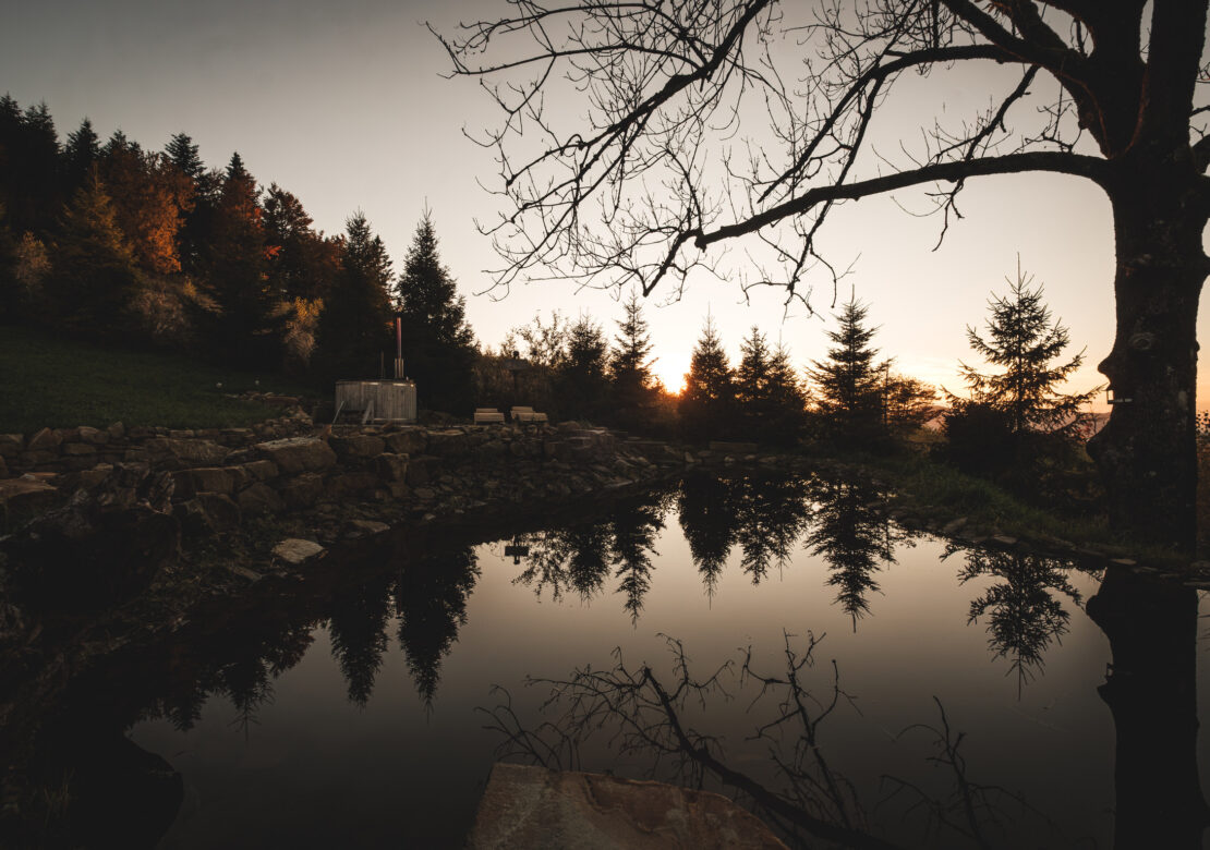 Pytlorka