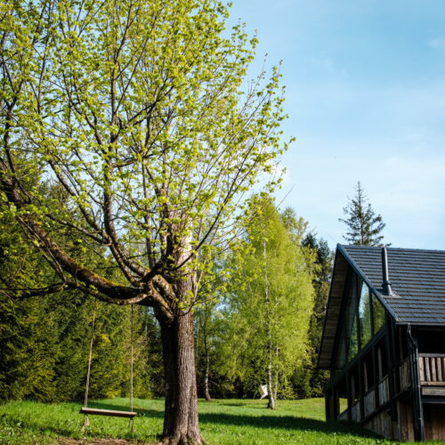 Pytlorka